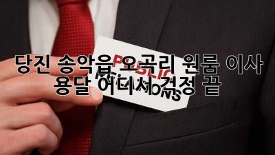 당진 송악읍 오곡리 원룸 이사, 용달 어디서? 걱정 끝!