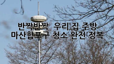 ✨ 반짝반짝 ✨ 우리 집 주방, 마산합포구 청소 완전 정복! 🏠