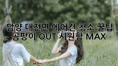 담양 대전면 에어컨 청소 꿀팁 🍯: 곰팡이 OUT! 시원함 MAX!