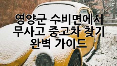 영양군 수비면에서 무사고 중고차 찾기: 완벽 가이드