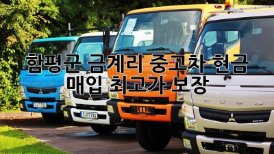 함평군 금계리 중고차 현금 매입, 최고가 보장!